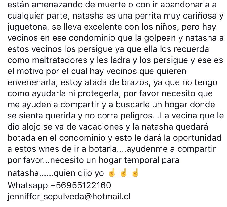 Jenniffersepul1's tweet photo. @NannyWilson @paty14101961 @DENISSAT @patrmarsh @Salvandopatit4s @Deny_9 @2011Holanda @botaspuesta @JosesinJrp RT 🙏🏻 https://t.co/mZnDikRdUD