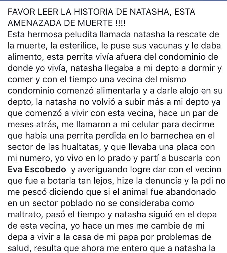 Jenniffersepul1's tweet photo. @NannyWilson @paty14101961 @DENISSAT @patrmarsh @Salvandopatit4s @Deny_9 @2011Holanda @botaspuesta @JosesinJrp RT 🙏🏻 https://t.co/mZnDikRdUD