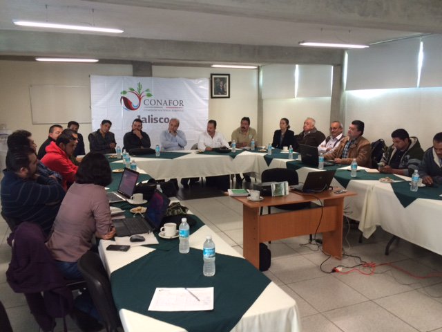 CONAFOR's tweet photo. 11 Organizaciones de Silvicultores asisten a taller de difusión #PRONAFOR2016 en #Jalisco https://t.co/tetn6al2wI