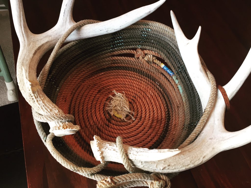 BBCD2012's tweet image. 