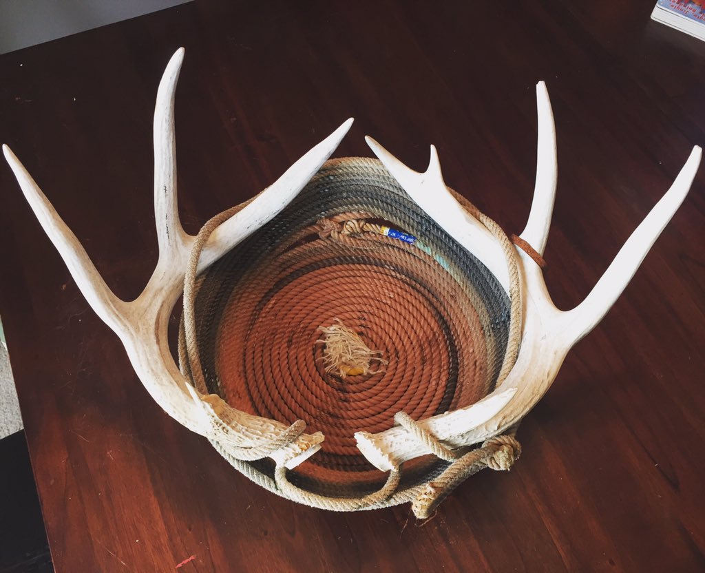 BBCD2012's tweet image. 