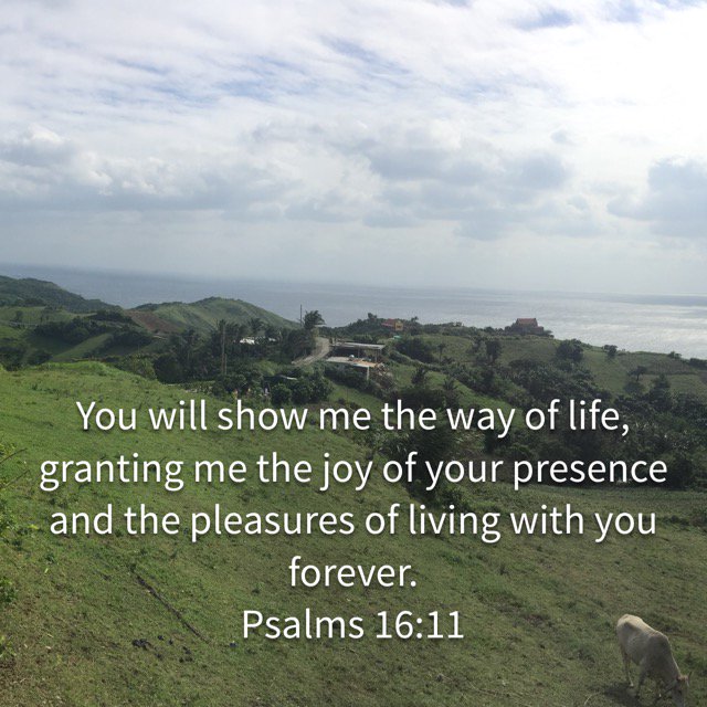 caitancesnash's tweet photo. Only in His presence can we experience the fullness of JOY! https://t.co/s6I1d7vRJ2 https://t.co/uRcHXsdCxO