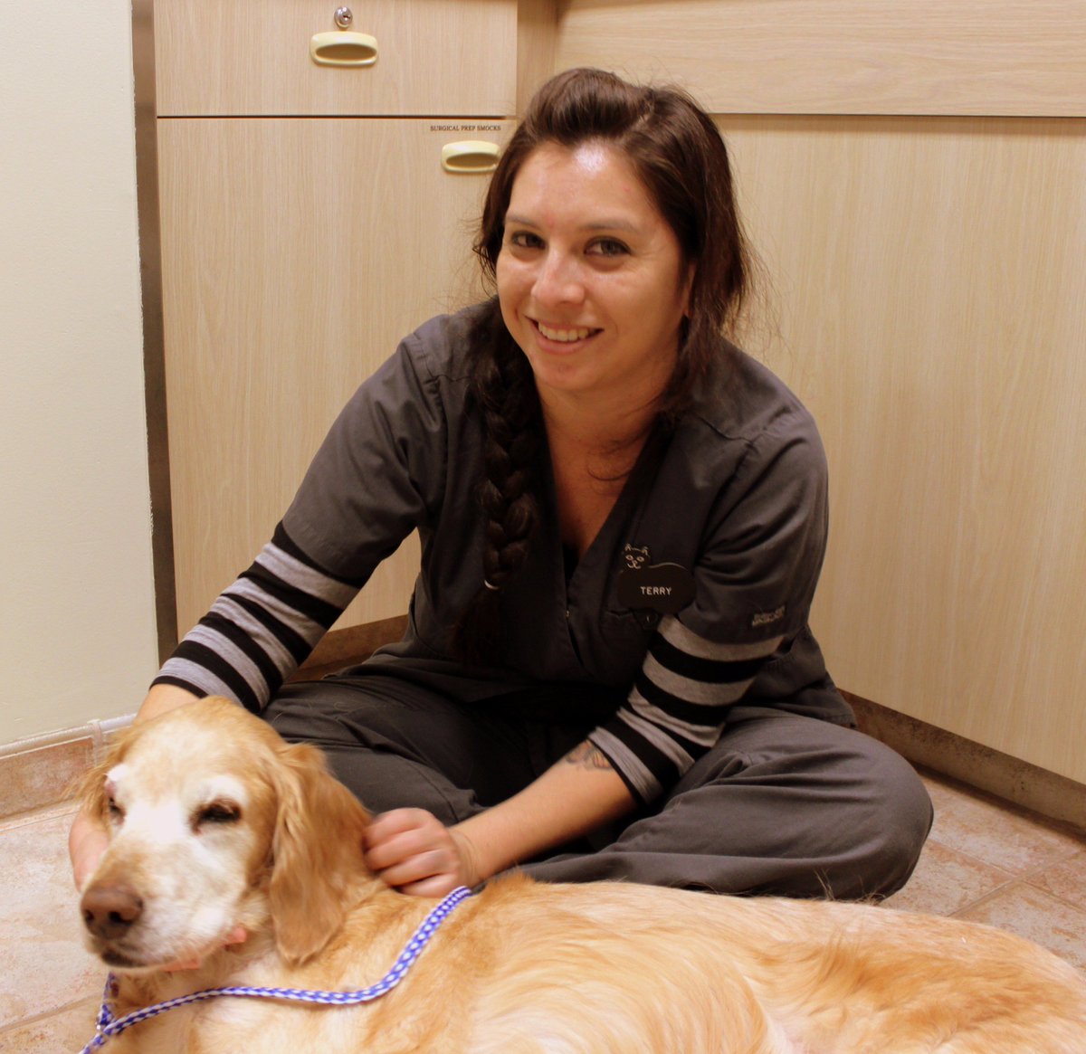 groversimba2's tweet photo. #Welcome to the #IVS #VetTech team! Terry is her name and taking care of pets is her game! #dental #goldendretriever https://t.co/sqjsnMmiIa