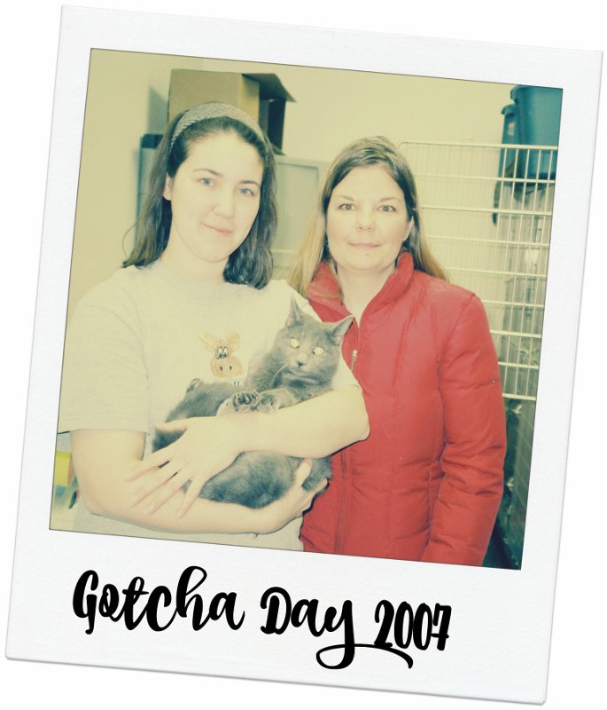 It's my 9th Gotcha Day &amp;  I'm in the arms of my rescuer &amp; meeting my human the 1st time  #NationalHugDay #cats #tbt