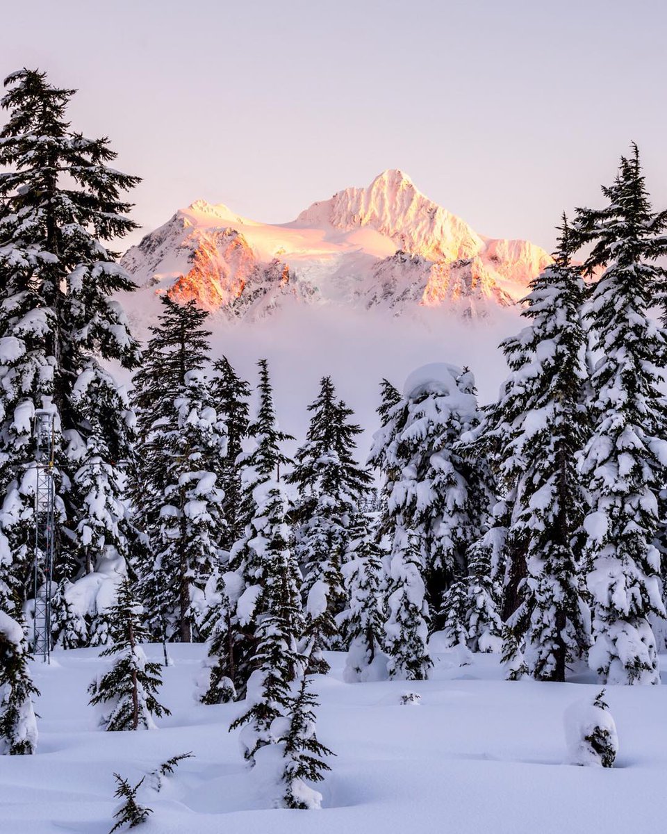 muz4now's tweet photo. Less than three hours from Seattle, #Washington, #NorthCascade National Park’s alpine… https://t.co/EUjvYS0k3p https://t.co/qhjK1GhhRI