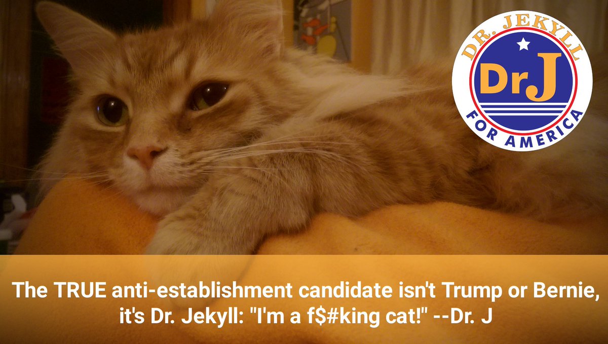 drj4prez's tweet photo. Hey! Sick of those human candidates! I'm still here, just waiting for the best time to pounce on #election2016 https://t.co/3Gz0yokAmI