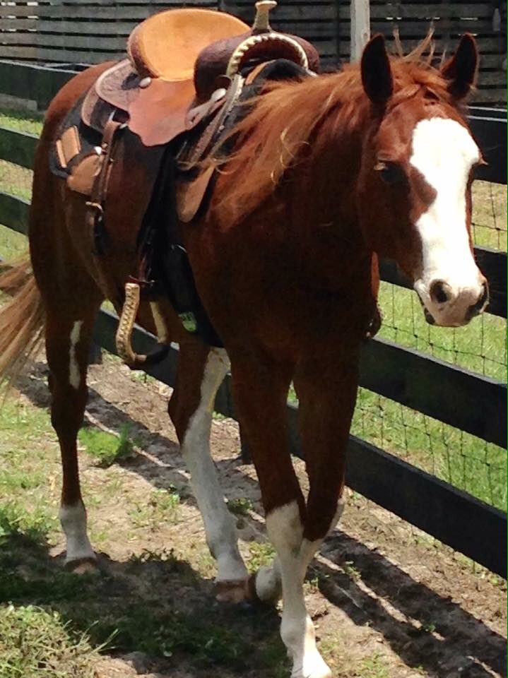 brokenbranchss's tweet image. Raising good babies