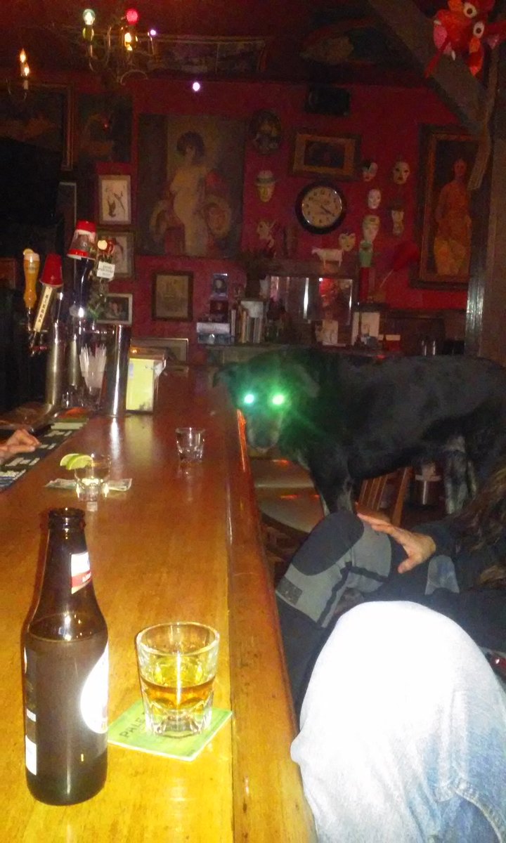 Hangin with Moku the dog @ wild side west