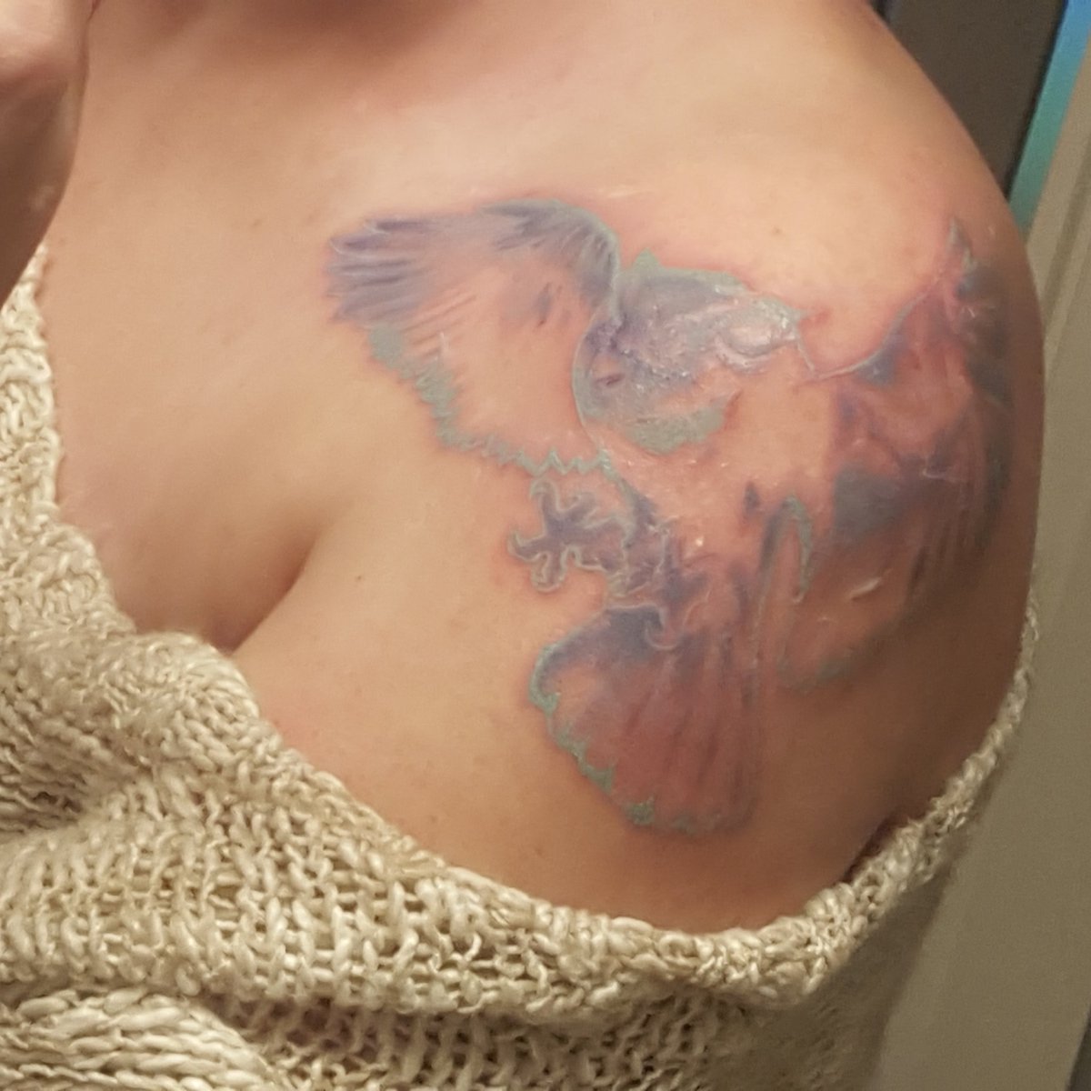 gamephae's tweet photo. Murkys done &amp; Tyrandes owl on my shoulder! 5 hours in the #tattoo shop today. #heroesofthestorm #Blizzard #Warcraft https://t.co/wJtgCeobLh
