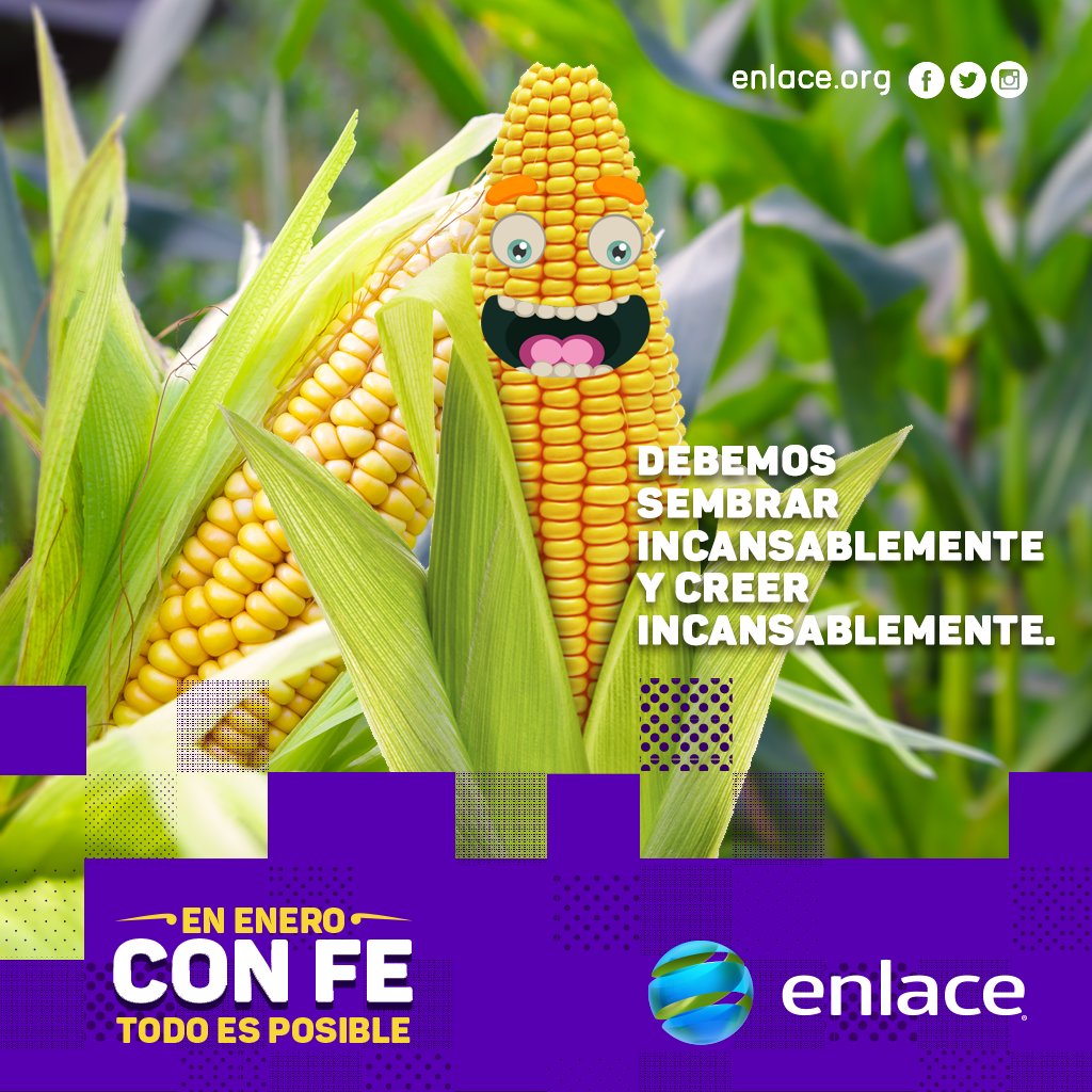 enlacetv's tweet photo. Siembra incansablemente y cree incansablemente. #EneroConFe https://t.co/mFzjScnps7