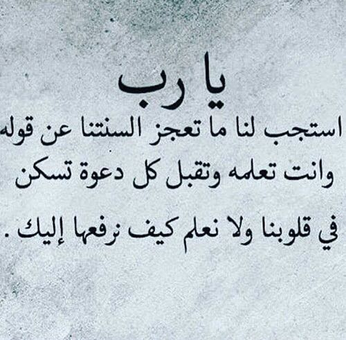 توحة بخاري tweet media
