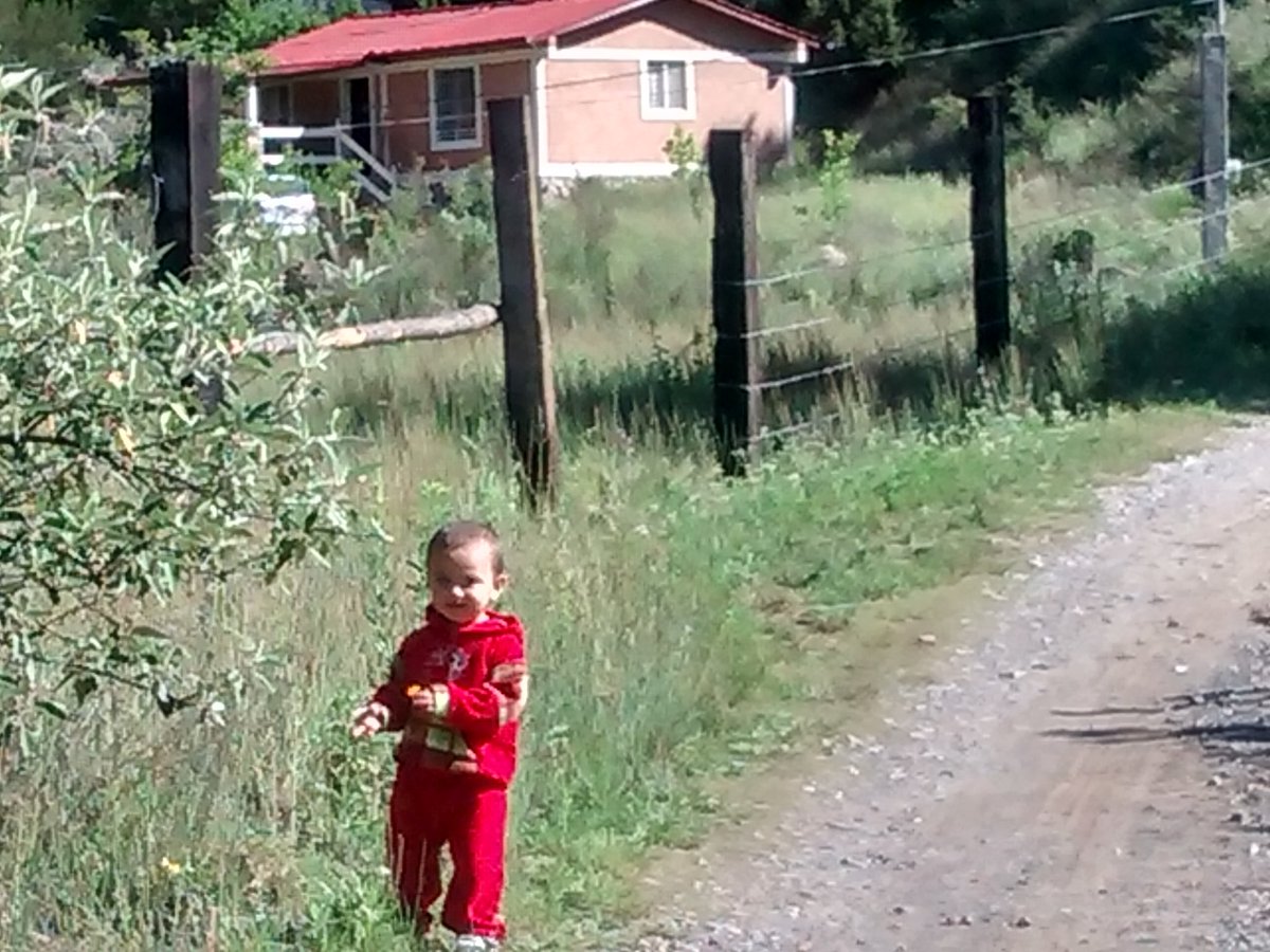 Cesar Ibarra tweet media