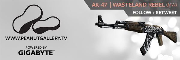 peekaynoodle's tweet image. AK-47 Wasteland Rebel GIVEAWAY tonight!!! RT + Follow to enter. Winner drawn at 9pm (i.e. 8 hours from now)
