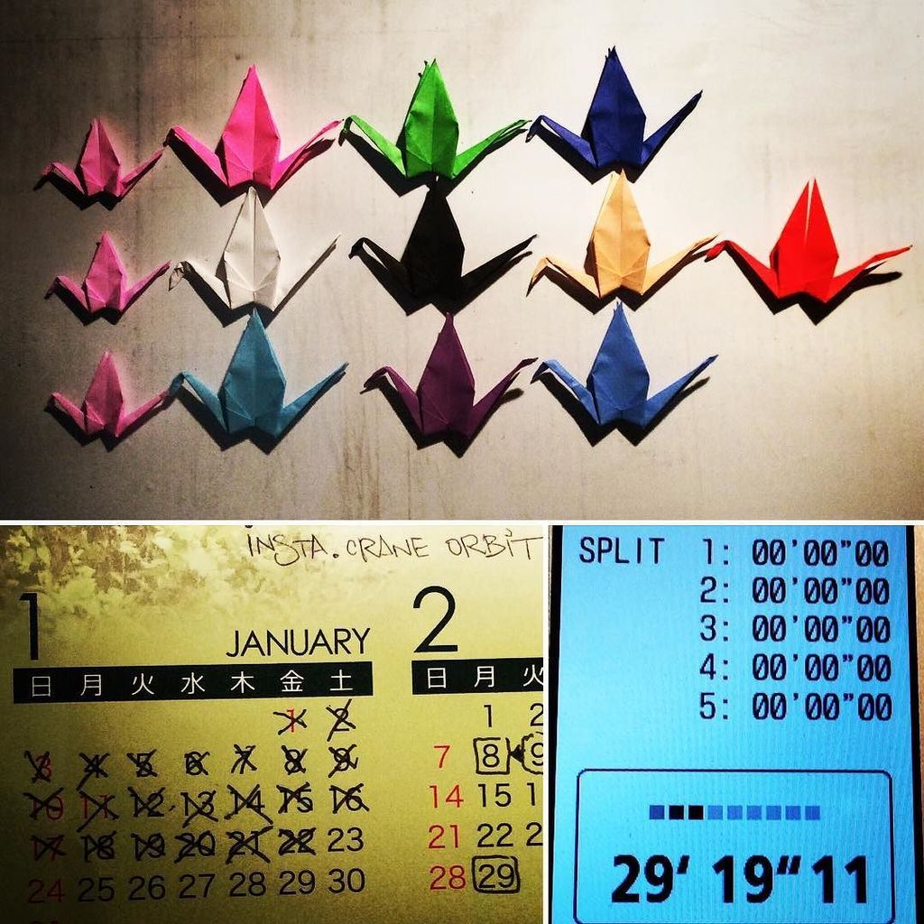 jaeded_daze's tweet image. InstaOrbit 2016. Day 22 (22Jan2016), 10mins Sprints, 13 Cranes. Follow the flock! #InstagramOrbit #2016 #followthef…