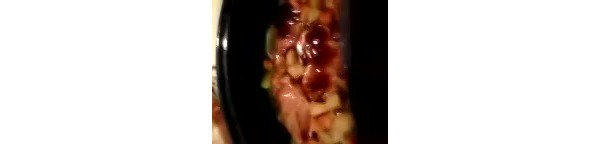 My new video is really hot! Check it out! https://t.co/anxpQS7xiz @modelcentro https://t.co/Oy2eczib<a href="/tag/modelcocobrazil"class="tags"><span>#modelcocobrazil</span></a>