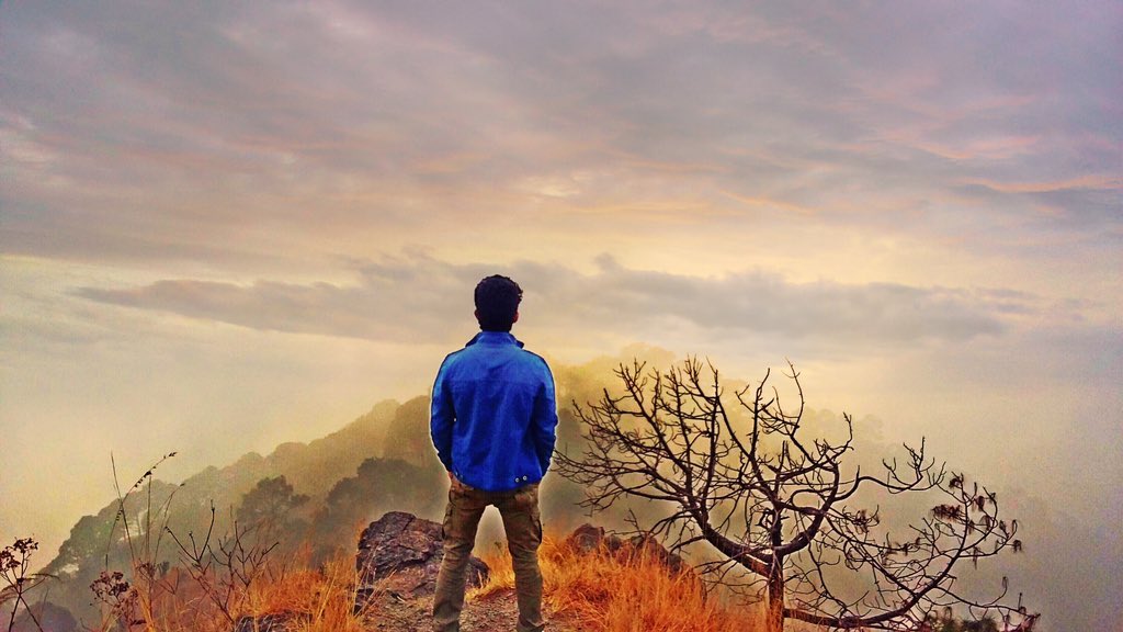 Amardeep Phogat tweet media
