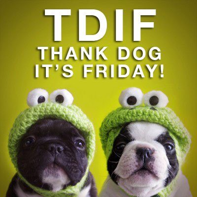GoodVetPetGuide's tweet photo. Good Morning! Have a paw-fect day! https://t.co/7CgxMOBPVC