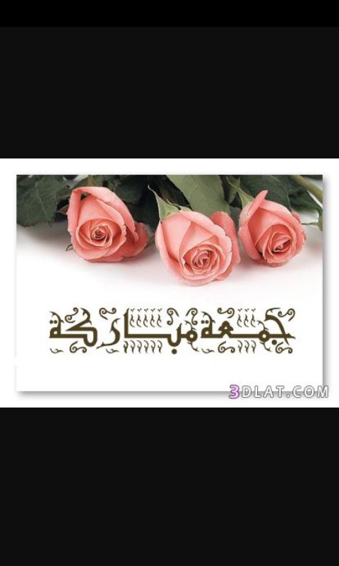 فتاه تحقق حلمها  (@alabadey99) on Twitter photo 