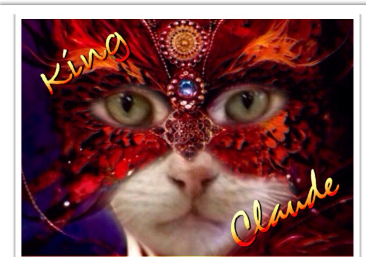 SpayMartCat's tweet photo. Claude's contest via @GivingGrid is launching soon!Remember https://t.co/bjICULMhkf &amp; get your favorite photo ready https://t.co/umQR8O96fm