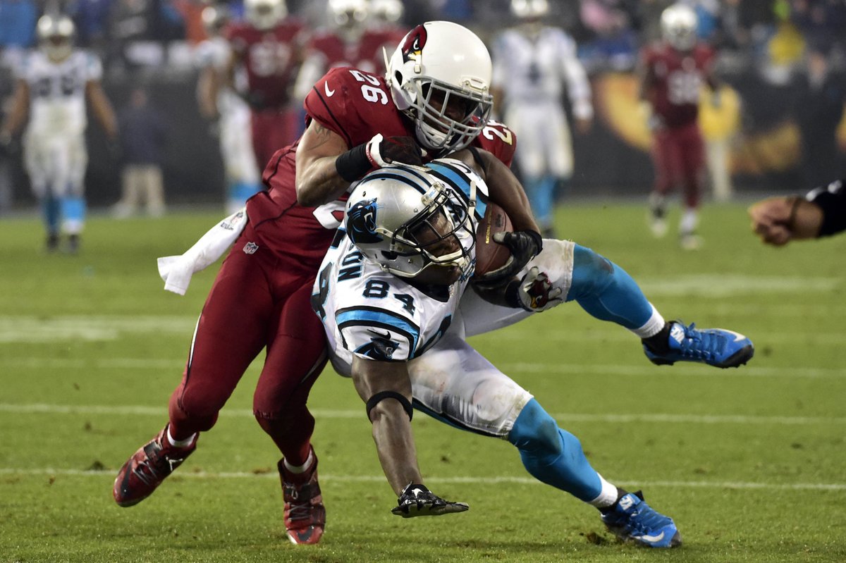 12News's tweet photo. Happy #NationalHugDay. #BirdGang #GoCards https://t.co/Vi8b44cEOL