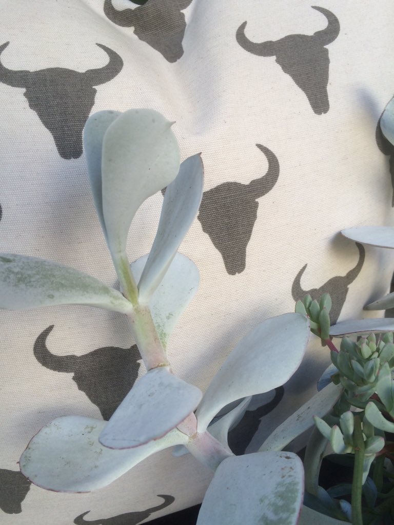 ArtVraatDesigns's tweet photo. Happy FriYAY! #decor #textiles #fabricdesign #ProudlySouthAfrican https://t.co/iS0dCok9zv