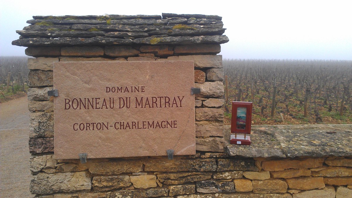 Spending the weekend in 'Burg. Shame there is nothing pink here.. @DeepWoodsWinery <a href="/OliversTaranga/">jeffrey r wright</a> <a href="/Harry_Frankie/">Harry & Frankie</a>