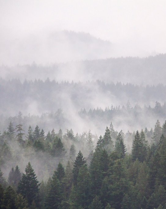 Wet coast vibes.   #stayandwander https://t.co/VIYYiN4WVQ<a href="/tag/stayandwander"class="tags">#stayandwander</a>