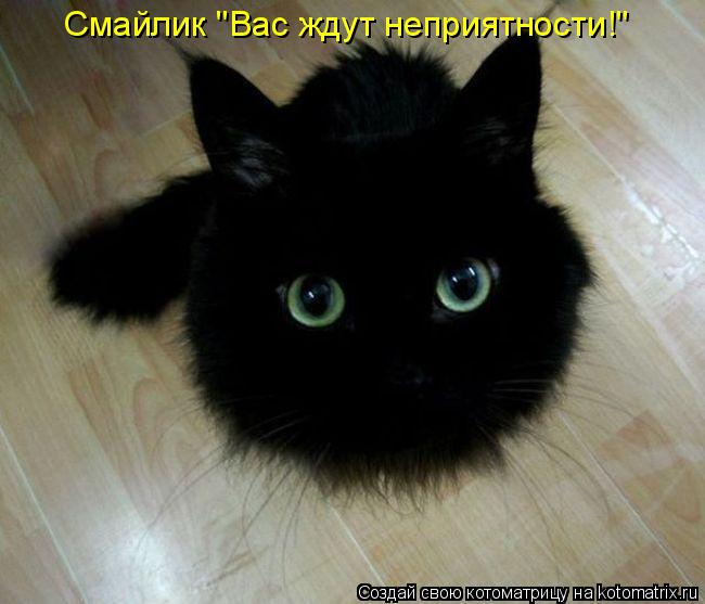 Ирина (@ms_iri) on Twitter photo 