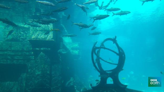 Local legends tell of cities or islands lost to the waves. Some of them are true bbc.in/1P2yuMG