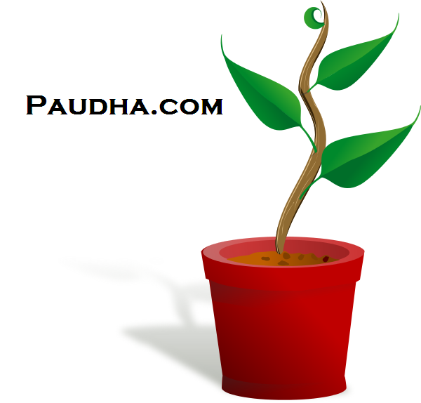 Jay_Sharma_Rtm's tweet photo. https://t.co/GvJ0VEl9Qe

https://t.co/sT9pcDD3Ib

plz follow&amp;like the pages
its https://t.co/XINLMyZgMb online sell https://t.co/VqQPuPMGun