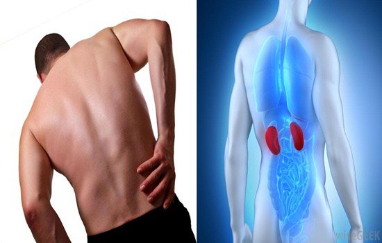 FreeAdverts's tweet image. Ganando La Batalla A La Enfermedad Renal (parte final) dediabetes.com/ganando-la-bat…