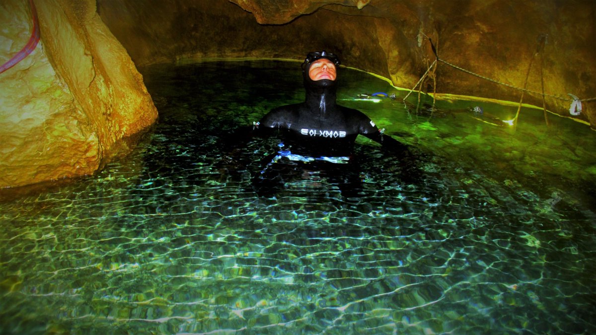 Nox Diving (Nox_Diving) Twitter