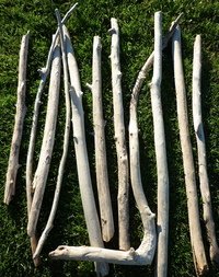 deconature's tweet photo. Une envie de déco ? Nous vous proposons des lots de branches &amp; de racines de bois flotté !  https://t.co/IM3KE4z5mE https://t.co/8Yrvx5v3rL