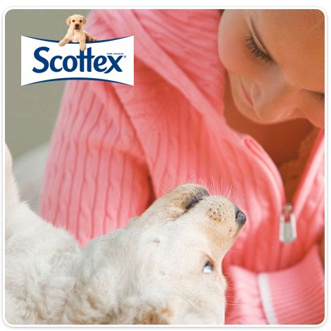 ¡Queremos saber quién es tu pareja perfecta! :D