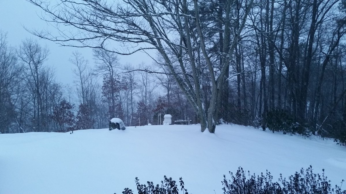 SuperTCS's tweet photo. Winter quiet outside. https://t.co/EJnTHqdRHu