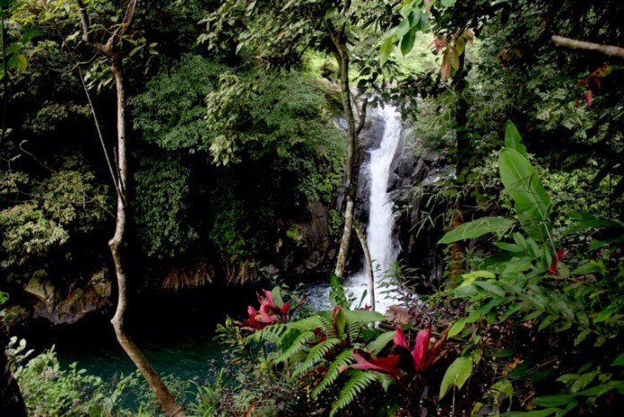 D7NewsCom's tweet photo. Mengintip Keindahan Air Terjun Aling-Aling di Sambangan, Bali https://t.co/TTBvcXBb8t https://t.co/RZgYg8crKM