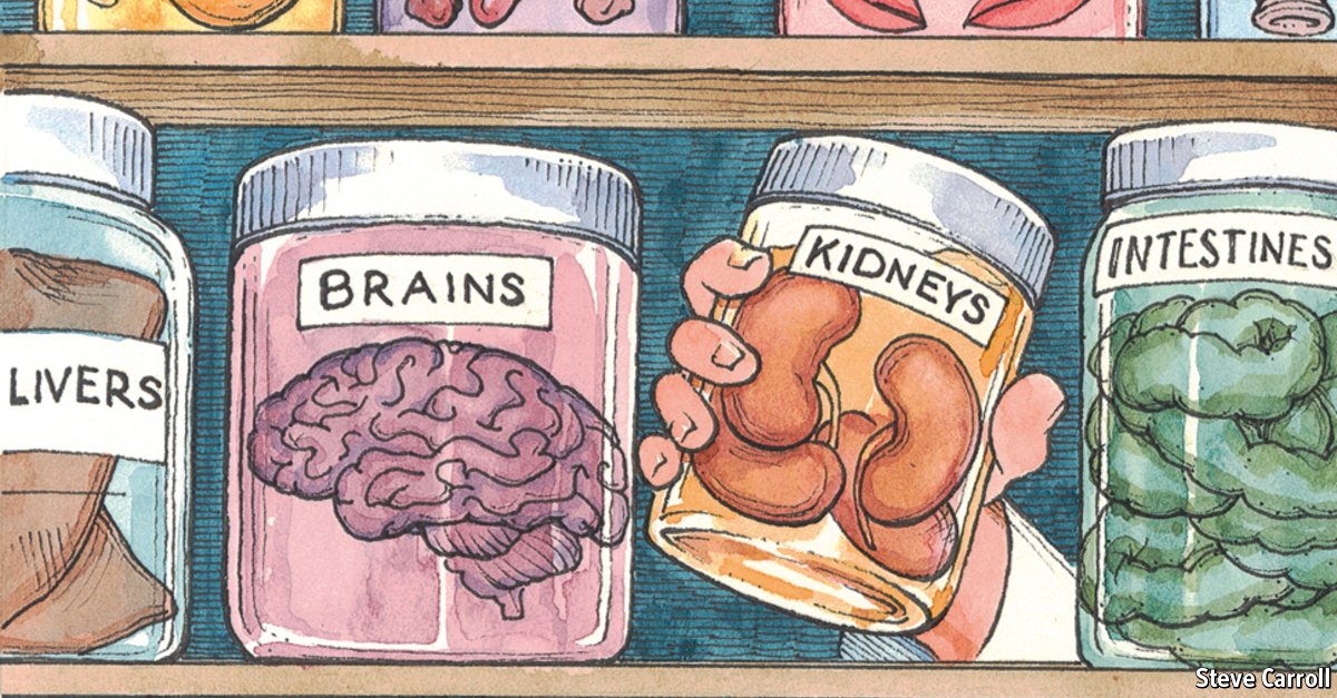 TheEconomist's tweet photo. The World In 2016 predicts a big shift in medicine—what is it? https://t.co/WnkquzBgYl https://t.co/ACi9PasTYa
