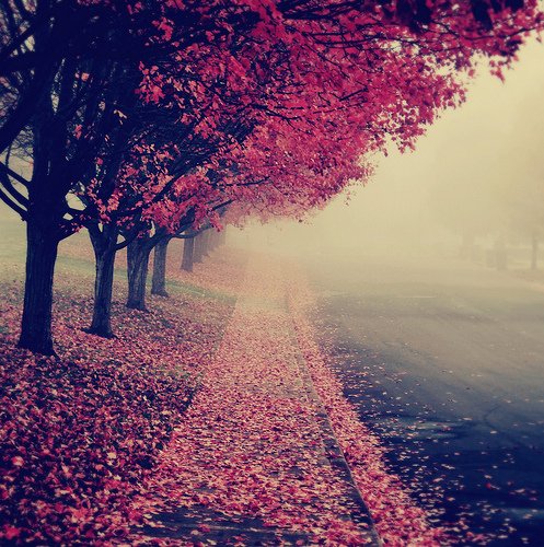 TheAmazePics's tweet photo. walk with me https://t.co/rbeRTxjahW