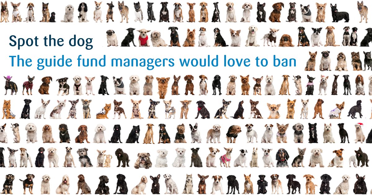 Spot_theDog's tweet image. Who let the dog funds out? Check out my new litter of howling #investments here bestinvest.co.uk/spot-the-dog?u… #SpotTheDog