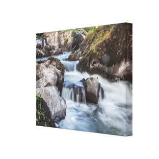 andykart31's tweet photo. Wrapped #canvas available of #Fishguard #Waggoners Wells #Cenarth
https://t.co/OkHlnK7dc6 https://t.co/zvZDCNfRKv