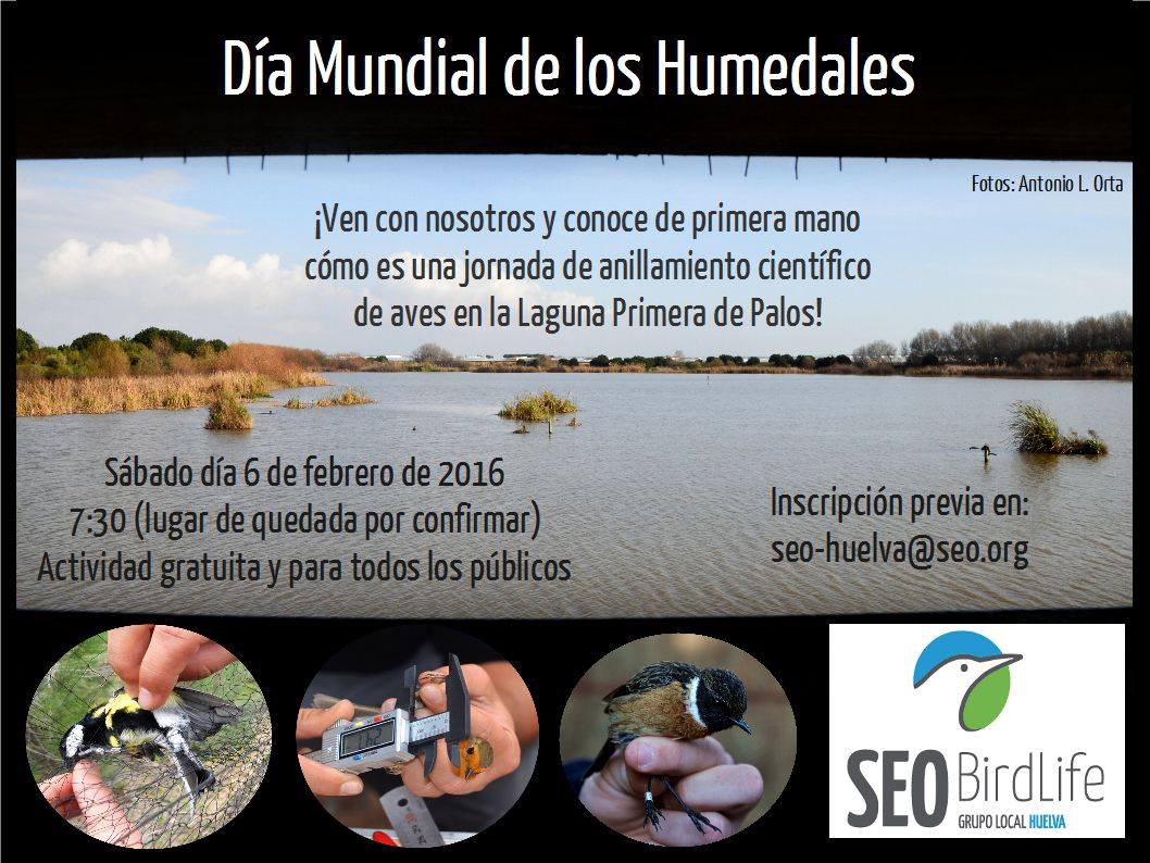 seohuelva's tweet photo. ¿Te vienes? Necesaria inscripción previa para el #DiaMundiadelosHumedales #Ramsar #Huelva https://t.co/b1iJvL86gm