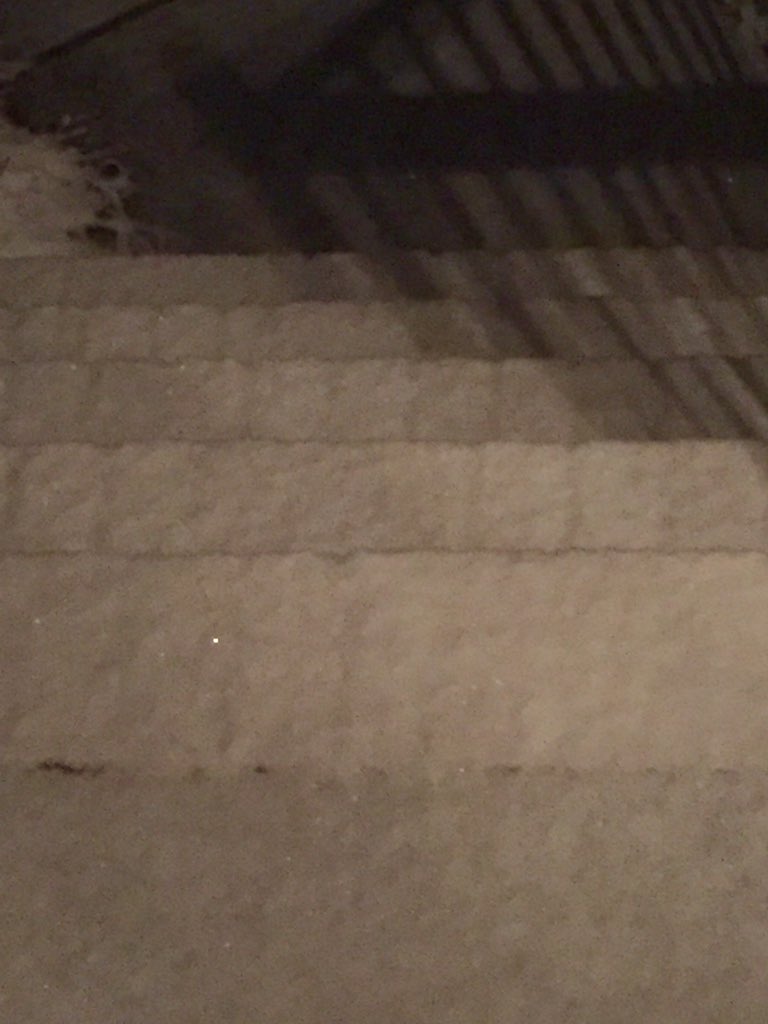 RAO_Sunshine's tweet photo. @WBTV_News I'm waiting patiently from a call from my office on whether or not we are closed. #SnoWBTV #IcySteps https://t.co/kxZGJC6m9B