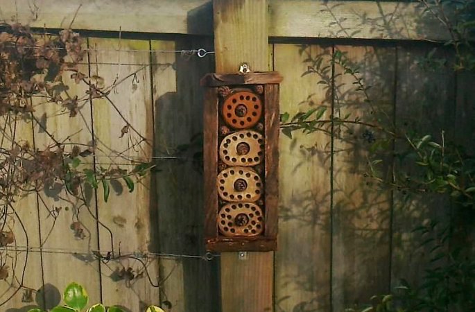 Enter our "Design a bug house" competition now - all ages - great prizes - free entry buff.ly/1PmALob