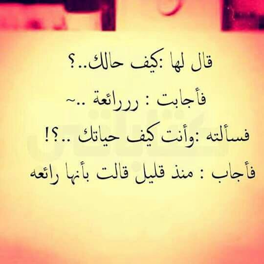 قدوتي الزهراء (@aomer134ga) on Twitter photo 