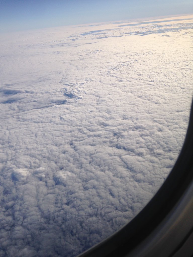 tomvealea's tweet image. 6 red wines and a peroni #adelaidetoperth #stressrelief