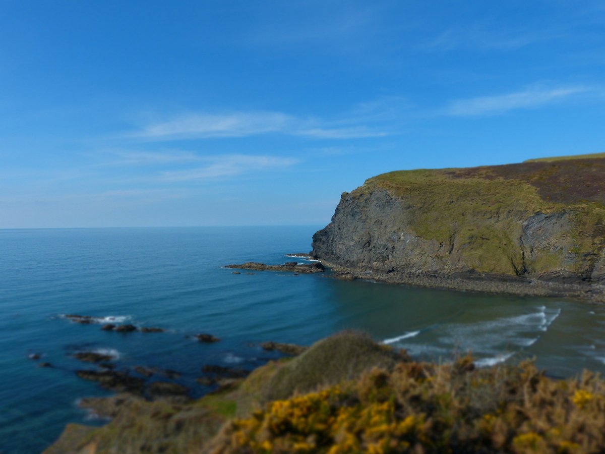 Bev Teague tweet media