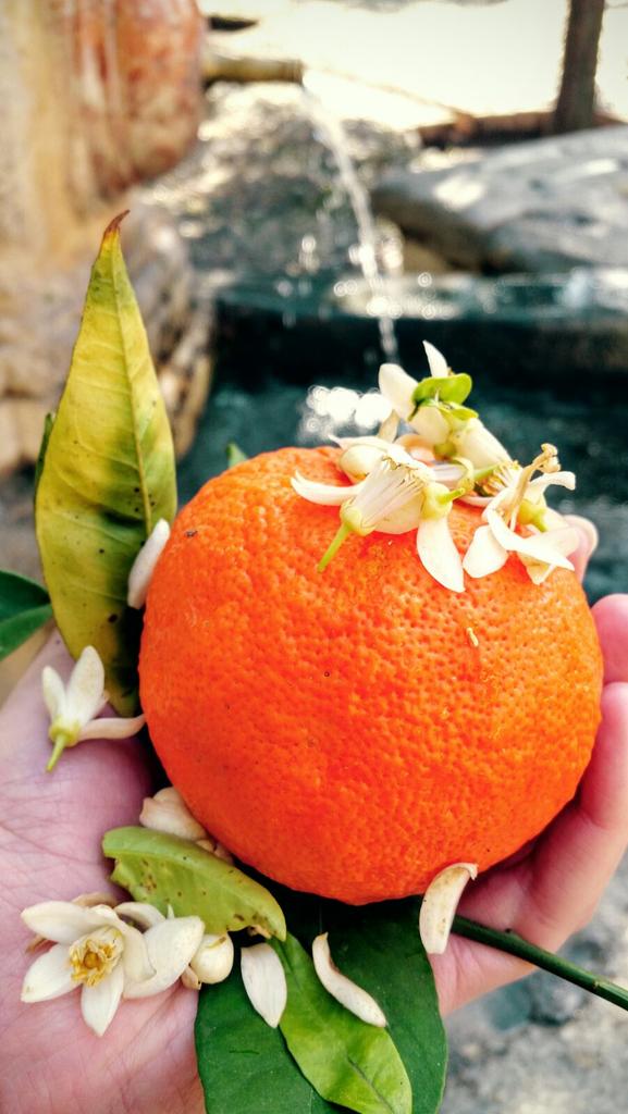 En breve empezará la presentación de #AbreElAzahar! Intriga por conocerla a fondo... <a href="/becomecordoba/">Become Córdoba</a> #fitur2016