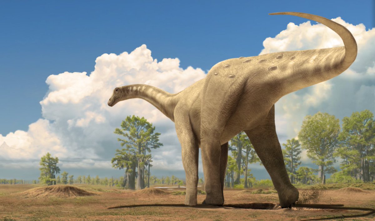 Quel Est Le Dinosaure Le Plus Fort Du Monde Le plus grand #dinosaure du monde s’expose en time-laspe #titanosaure