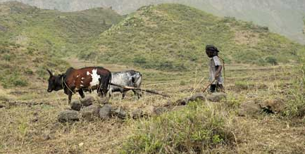 Act_Svk's tweet image. Hungersnöd hotar Etiopien. Här förklaras varför: svenska.yle.fi/artikel/2015/1… @svenska_yle #Etiopien