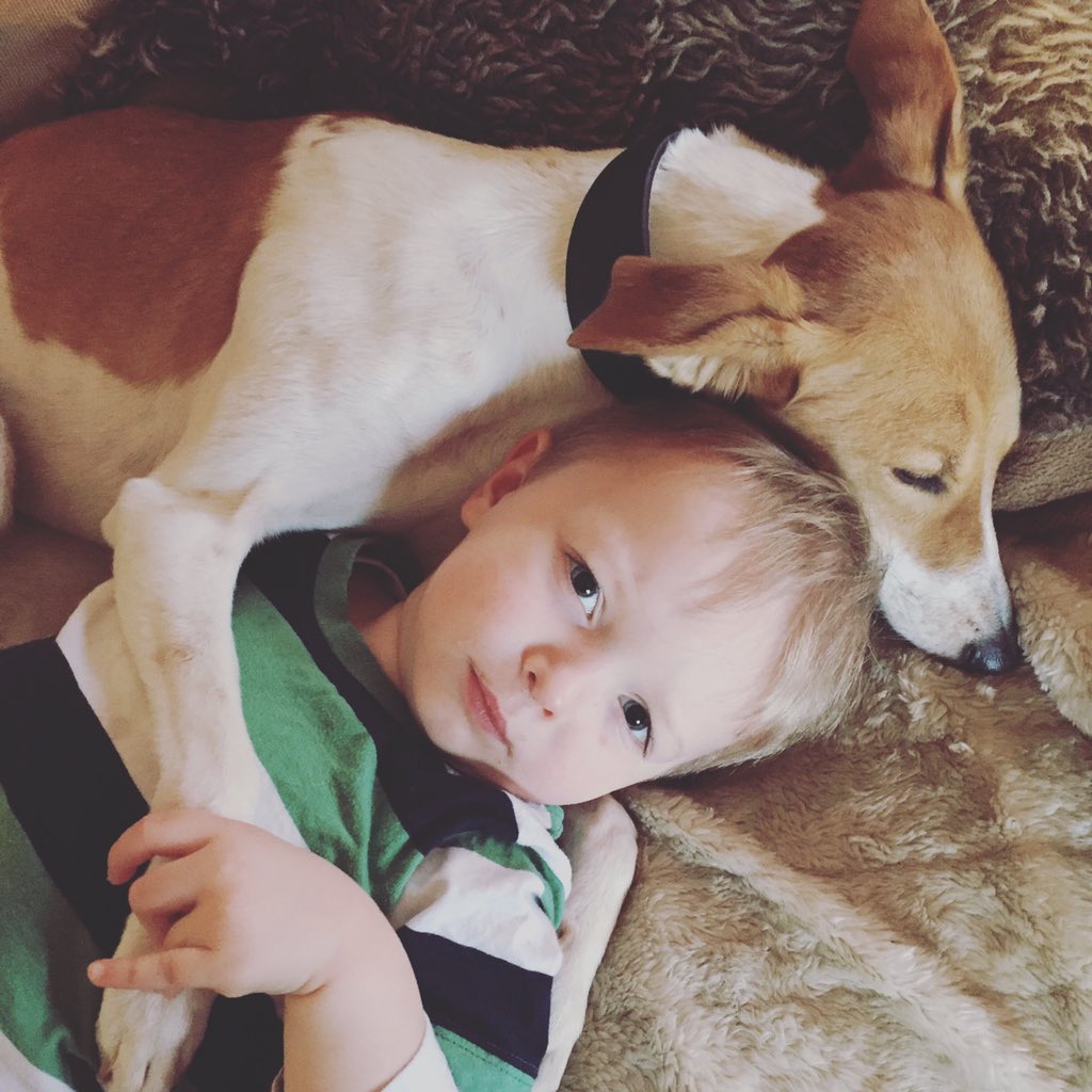 SianTegan's tweet photo. When your dog and child are way more #photogenic than you are... #whippet #toddler #myminihuman https://t.co/Q3gn2zOUPW